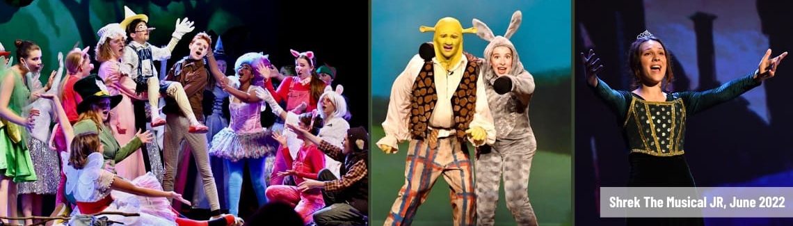 Story Theater Company Presents Shrek The Musical JR